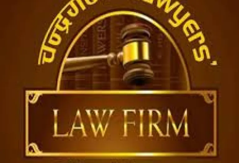 Domestic Violence Law